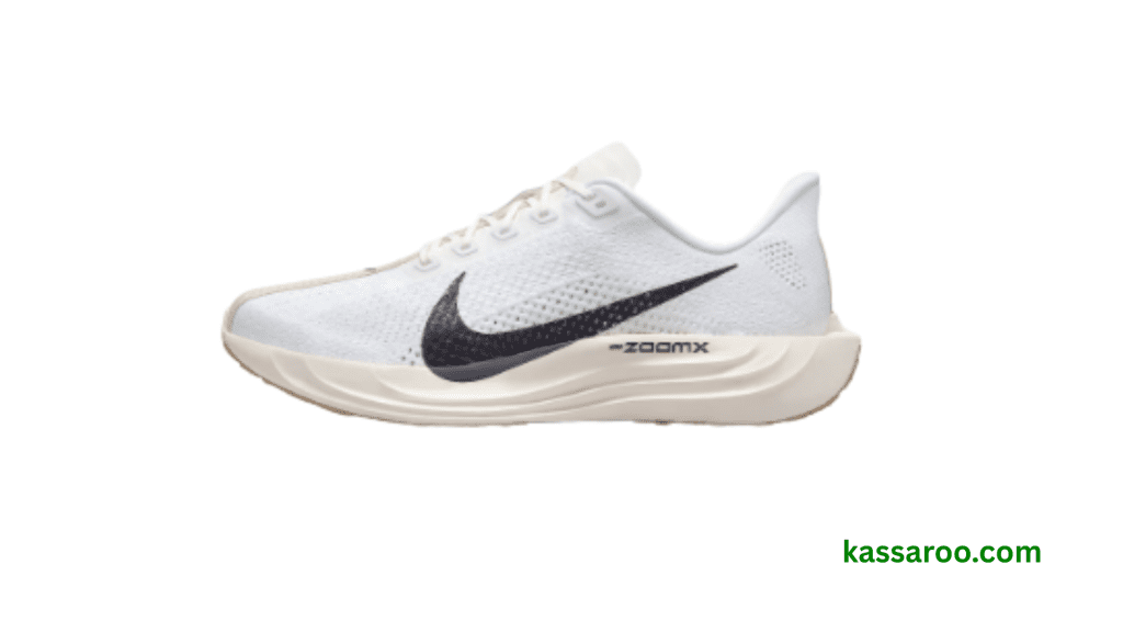 Nike Pegasus Plus Review