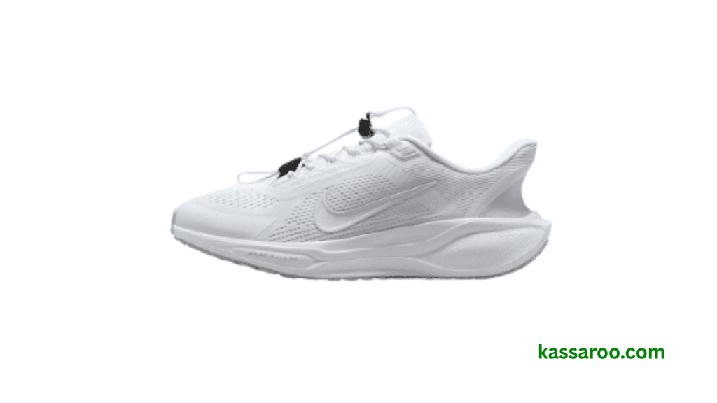 Nike Pegasus EasyOn Review