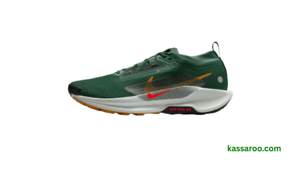 Nike Pegasus Trail 5 GORE-TEX Review